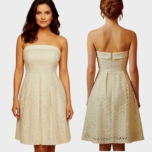 EVA MENDES x NY & CO. Eyelet Lace Fit & Flare Dress - Size L